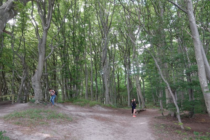 Viewing photos→2018→2018-07-14→13