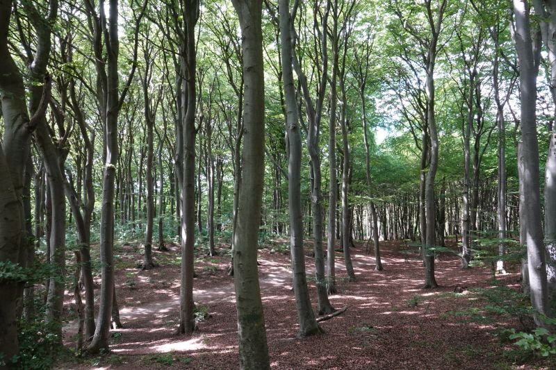 Viewing photos→2018→2018-07-14→15