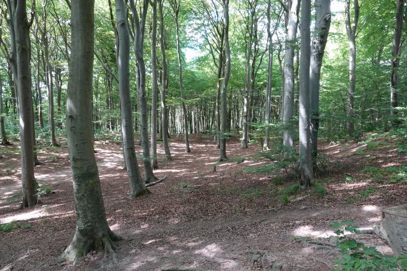 Viewing photos→2018→2018-07-14→16