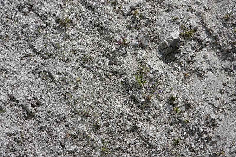 Viewing photos→2018→2018-07-14→20