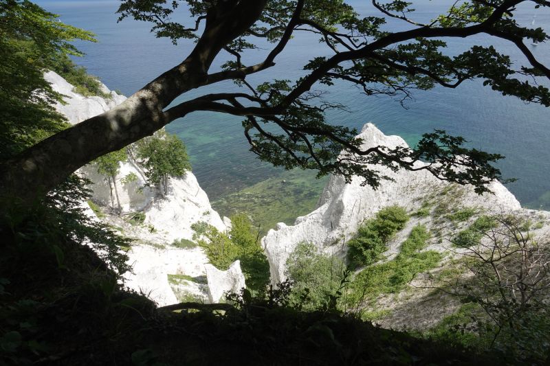 Viewing photos→2018→2018-07-14→26