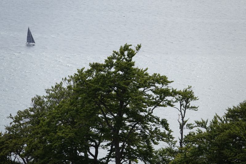 Viewing photos→2018→2018-07-14→28