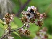 50.jpeg - 2018:07:14 13:02:52