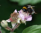 55.jpeg - 2018:07:14 13:05:04