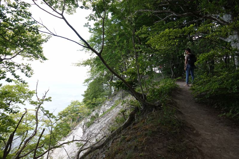 Viewing photos→2018→2018-07-14→61