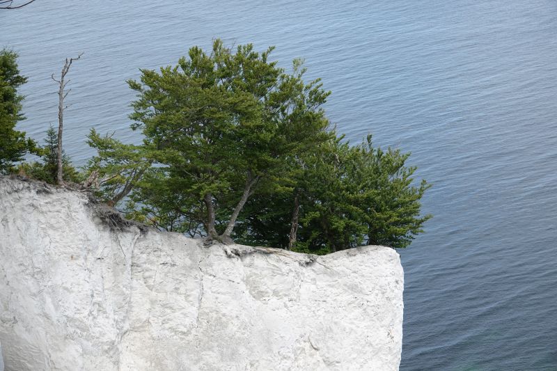 Viewing photos→2018→2018-07-14→65