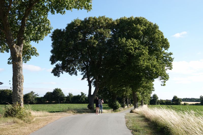 Viewing photos→2018→2018-07-14→70