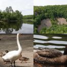 2018-07-22<br/>
<b>Söderasens Nationalpark, Sweden</b>
