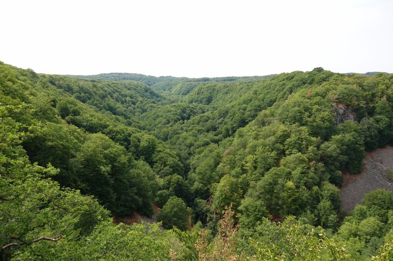 Viewing photos→2018→2018-07-22→04