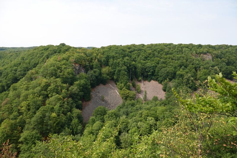 Viewing photos→2018→2018-07-22→05