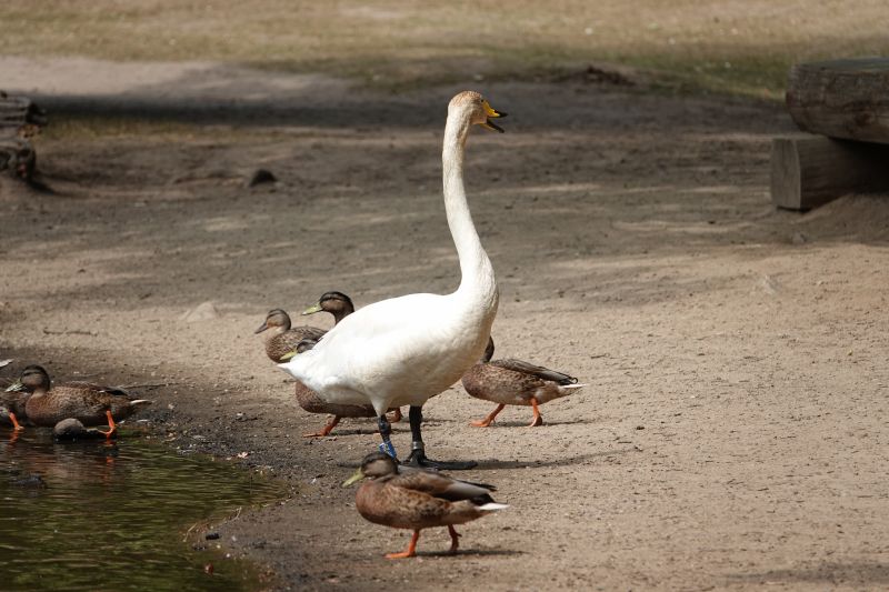 Viewing photos→2018→2018-07-22→09