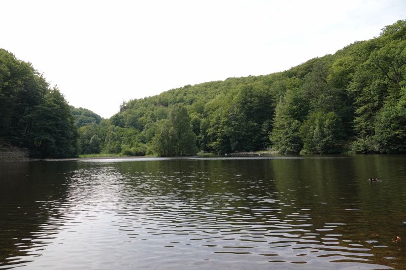 Viewing photos→2018→2018-07-22→10