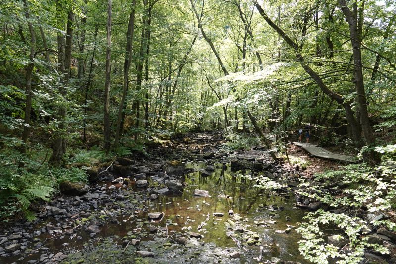 Viewing photos→2018→2018-07-22→14