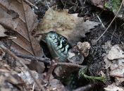 18.jpeg - 2018:07:22 12:33:02