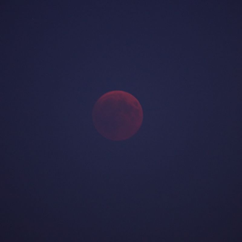 Viewing photos→2018→2018-07-27-2→01