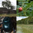 2018-08-04<br/>
<b>Gurre Sø</b>
