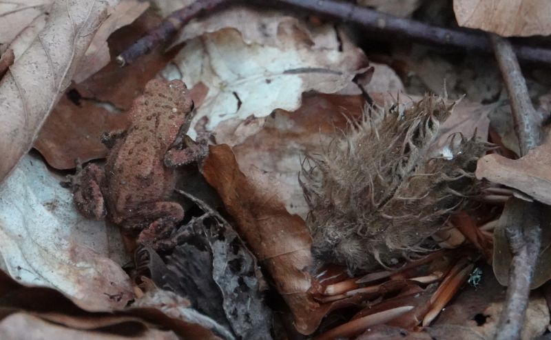 Viewing photos→2018→2018-08-04→08