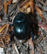 09.jpeg - 2018:08:04 11:58:07