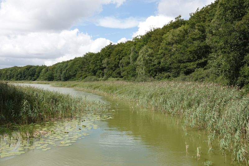 Viewing photos→2018→2018-08-04→13