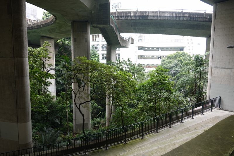 Viewing photos→2018→2018-08-19→023