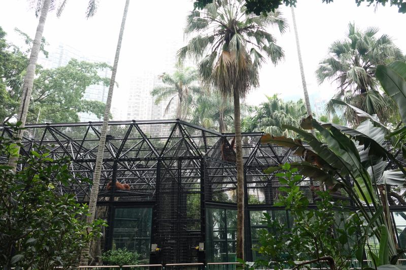 Viewing photos→2018→2018-08-19→027