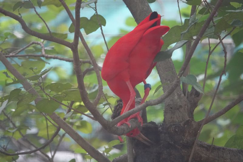 Viewing photos→2018→2018-08-19→031