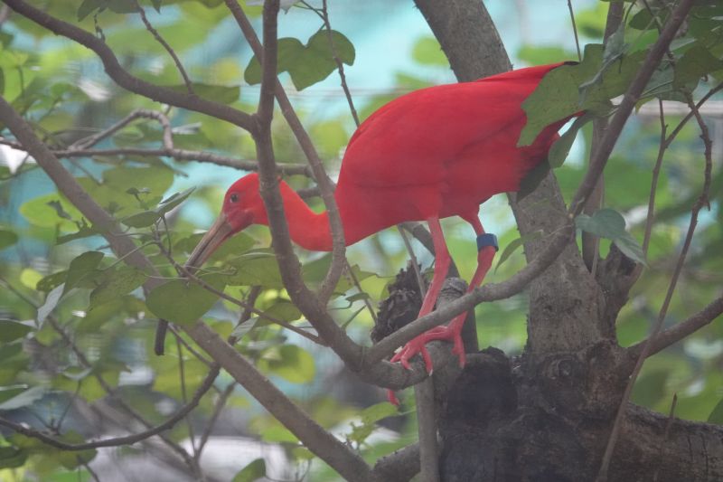 Viewing photos→2018→2018-08-19→032