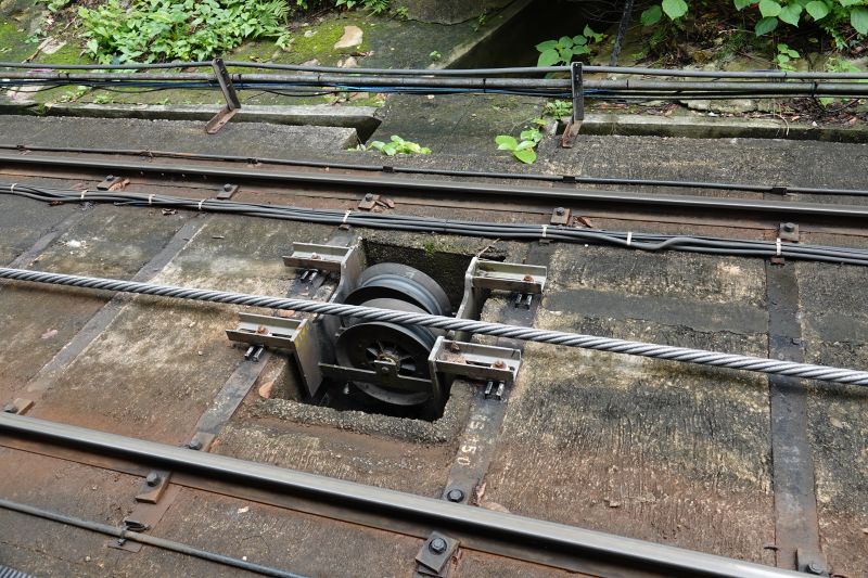 Viewing photos→2018→2018-08-19→037