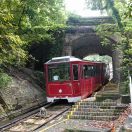 038.jpg - 2018:08:20 07:18:30