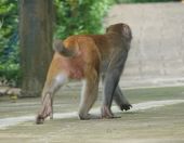 03.jpeg - 2018:08:21 04:53:49