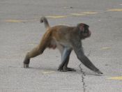 04.jpeg - 2018:08:21 04:54:02