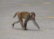 05.jpeg - 2018:08:21 04:54:09