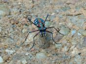 15.jpeg - 2018:08:21 05:01:08