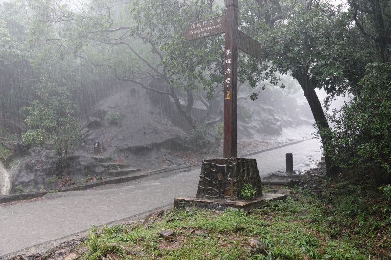 Viewing photos→2018→2018-08-21→33