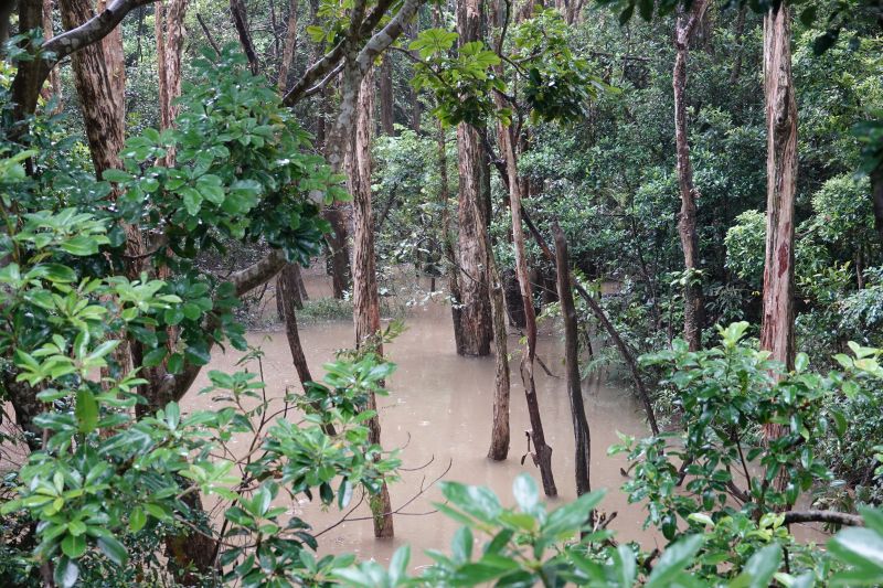 Viewing photos→2018→2018-08-21→35