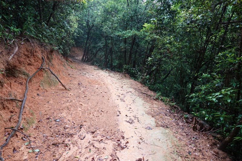 Viewing photos→2018→2018-08-21→40