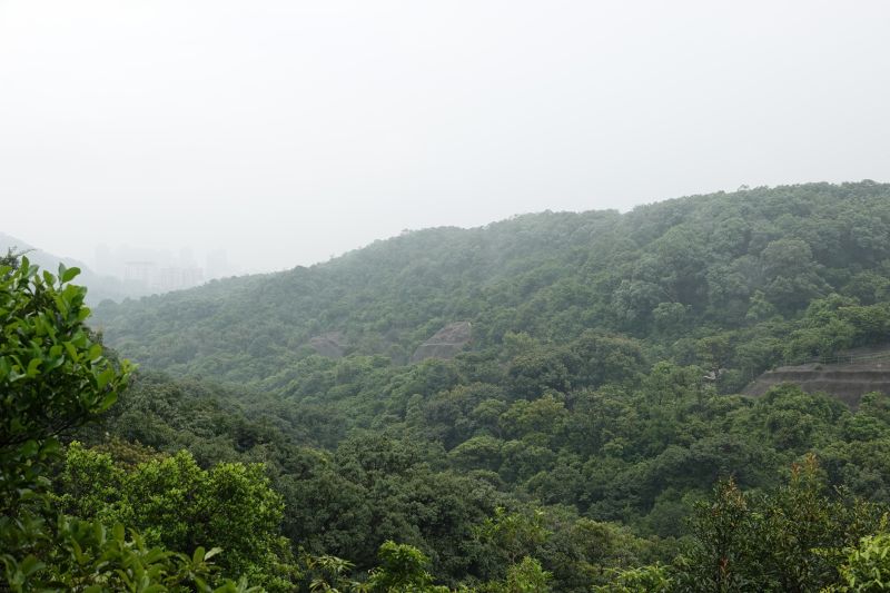 Viewing photos→2018→2018-08-21→44