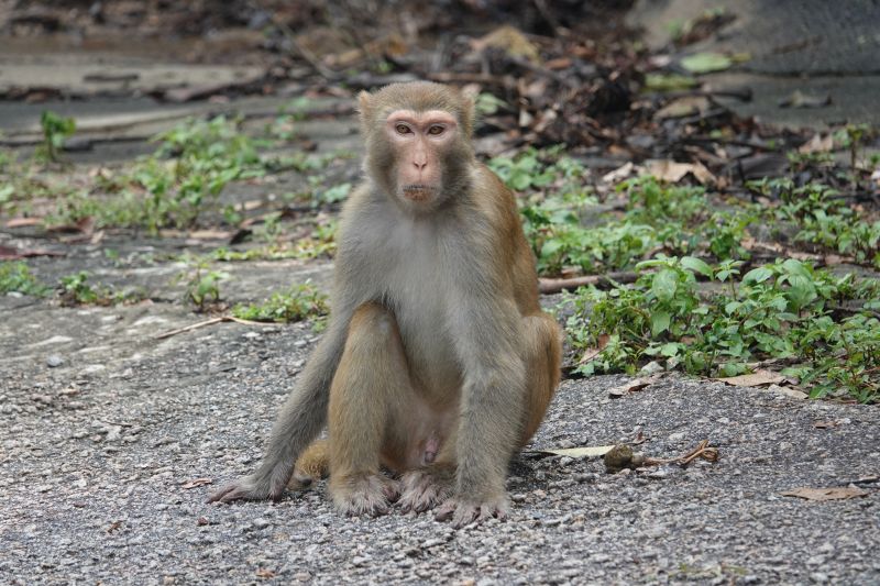 Viewing photos→2018→2018-08-21→47