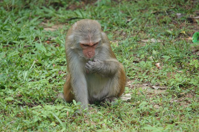 Viewing photos→2018→2018-08-21→50