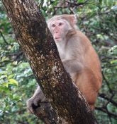 54.jpeg - 2018:08:21 06:43:23