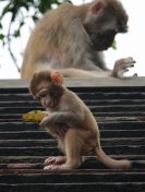 58.jpeg - 2018:08:21 06:45:23