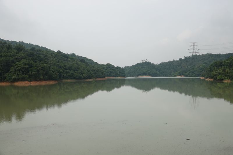 Viewing photos→2018→2018-08-21→75