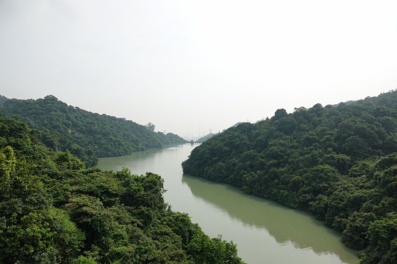 Viewing photos→2018→2018-08-21→80