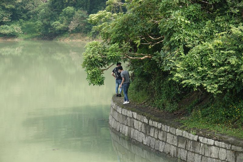 Viewing photos→2018→2018-08-21→83