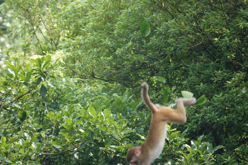 Viewing photos→2018→2018-08-21→85