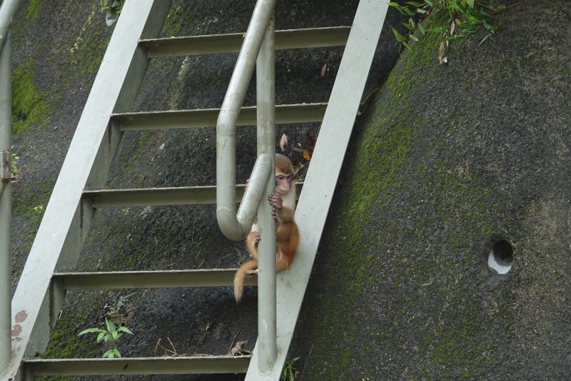 Viewing photos→2018→2018-08-21→86