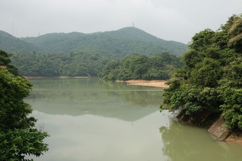 Viewing photos→2018→2018-08-21→88