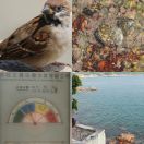 2018-08-22<br/>
<b>Stanley, Hong Kong</b>
