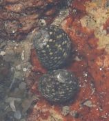 06.jpeg - 2018:08:22 06:03:39