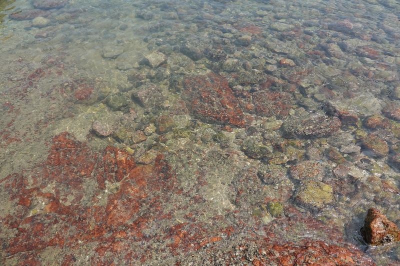 Viewing photos→2018→2018-08-22→10